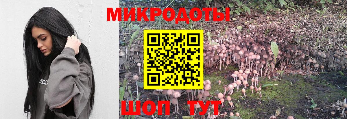 Пермь  Галлюциногенные грибы прущие грибы  Вход с VPN  Галлюциногенные грибы прущие грибы 